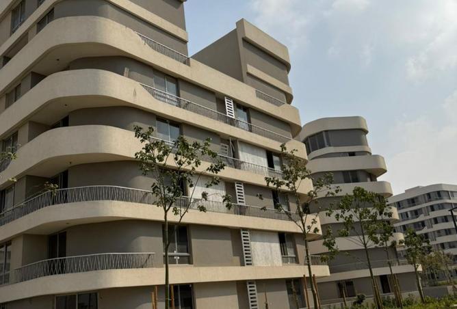 8258432 - Property Image 3