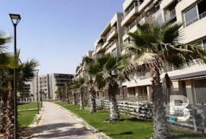 8268727 - Property Image 2