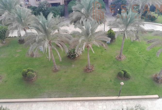 8186434 - Property Image 2