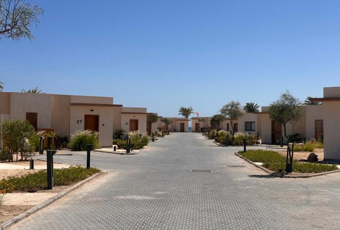 8217685 - صورة العقار 3