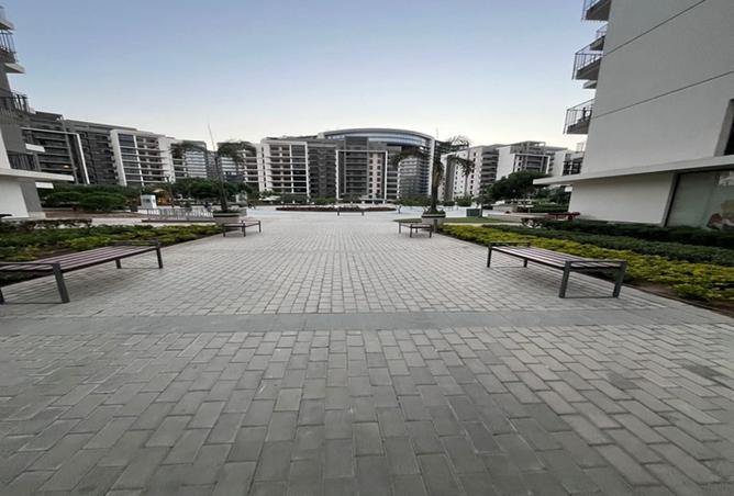 8238267 - Property Image 3