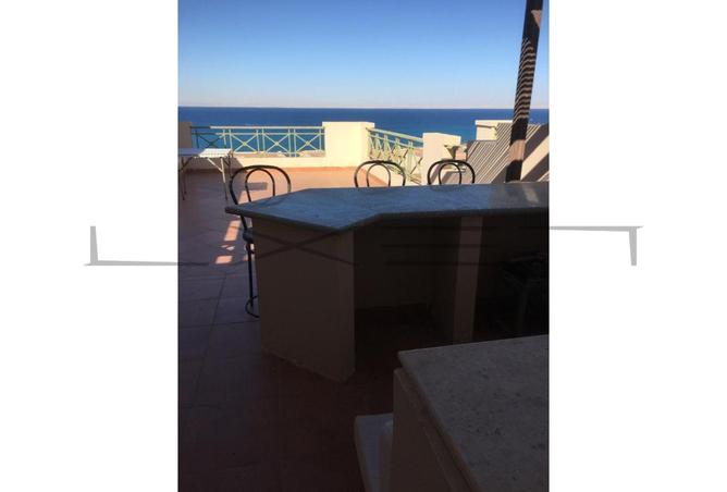 7927665 - Property Image 2