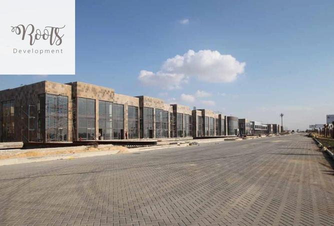 8215926 - Property Image 2