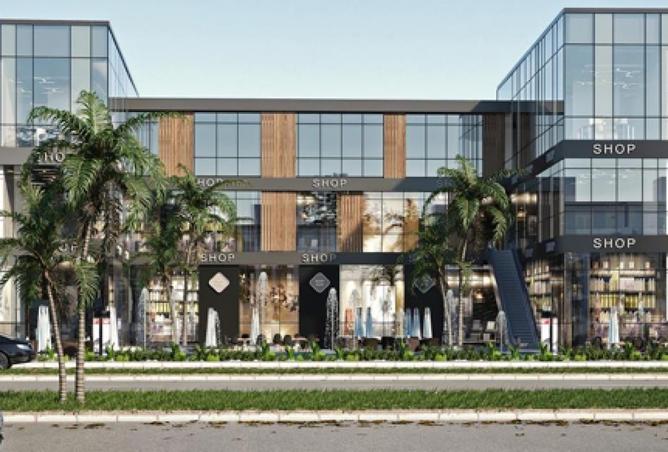 8248034 - Property Image 3