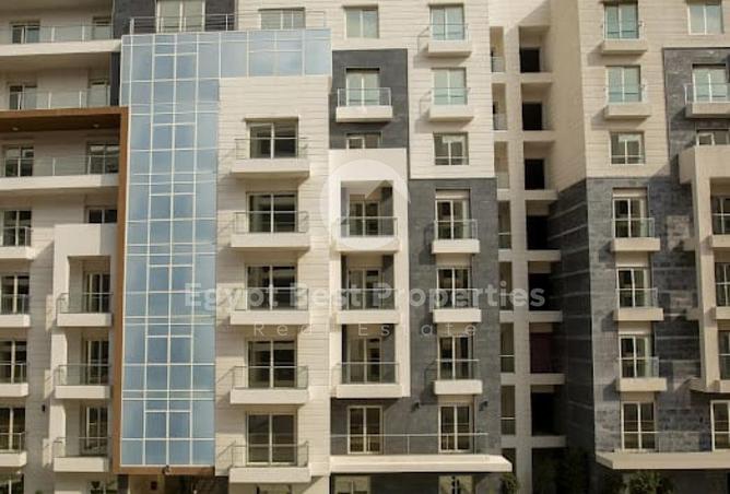 8420920 - Property Image 3