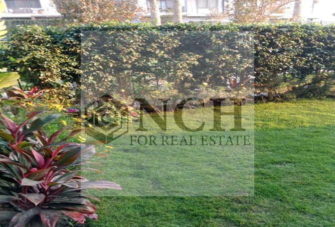 8023243 - Property Image 3
