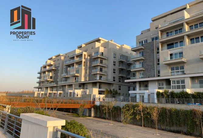 8411990 - Property Image 2