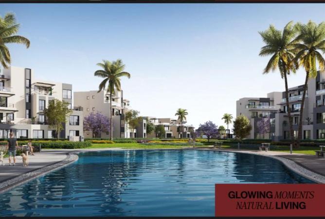 8169448 - صورة العقار 3