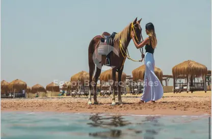 شاليه - غرفة نوم - 2 حمامات للبيع في رأس سوما - سفاجا - الغردقة - محافظة البحر الاحمر