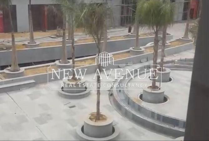 8194634 - Property Image 2