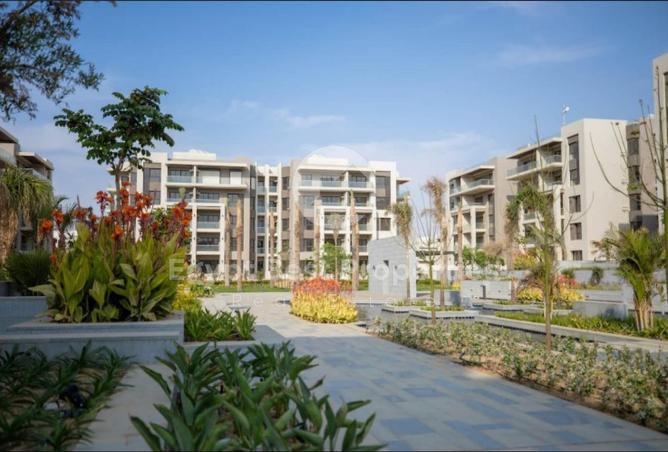 8276598 - Property Image 2