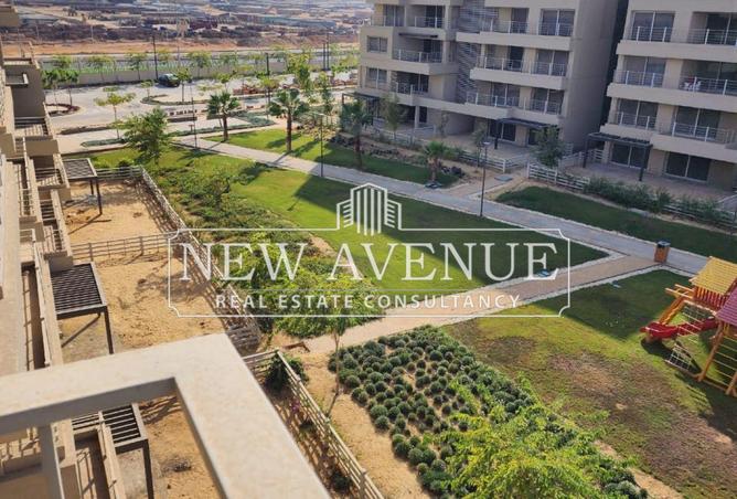 8033593 - Property Image 3