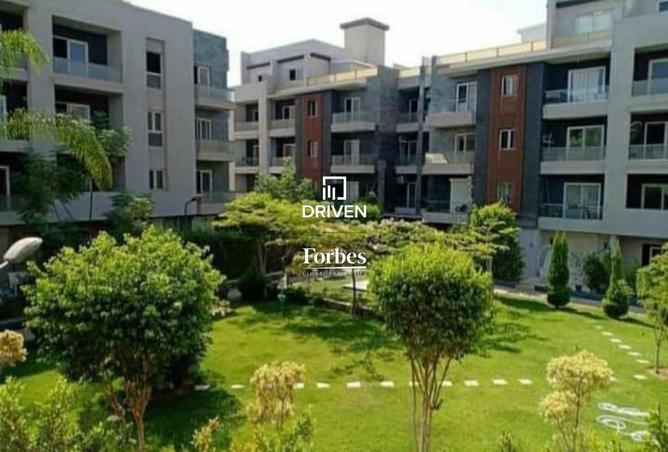 8248218 - Property Image 3