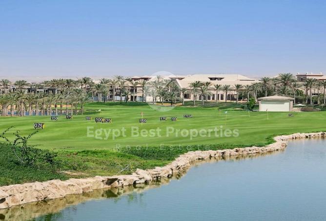 7978676 - Property Image 3