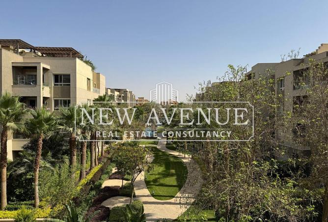 8147616 - Property Main Image