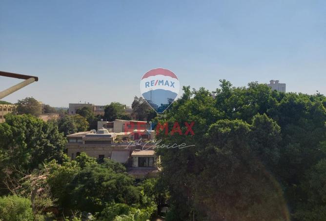 7962256 - صورة العقار 3