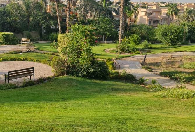8082717 - صورة العقار 3