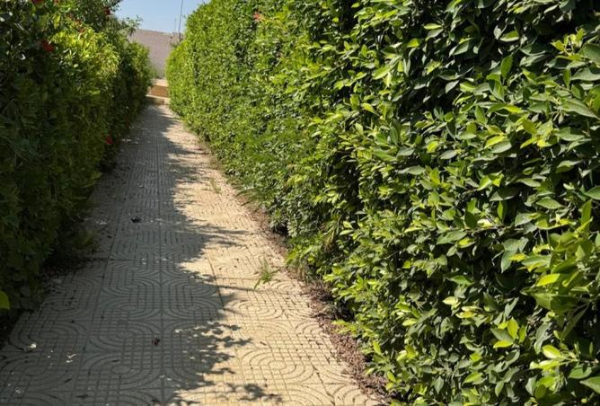 8023736 - صورة العقار 2