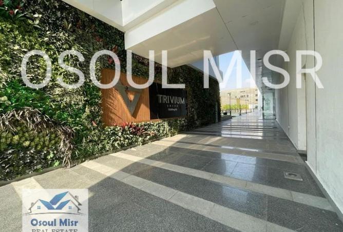 8017849 - Property Image 2