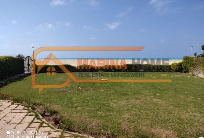 7943736 - صورة العقار 3