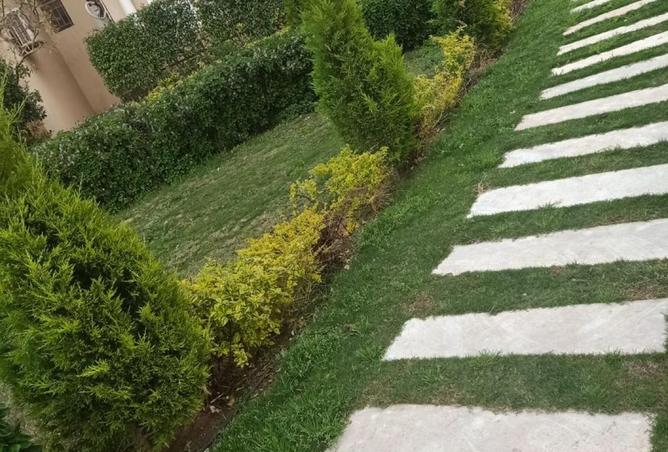 7927490 - الصورة الرئيسية للعقار