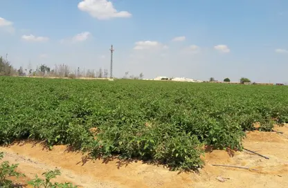 Land - Studio for sale in Cairo Alexandria Desert Road - 6 October City - Giza