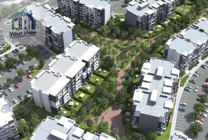 8295185 - Property Image 2