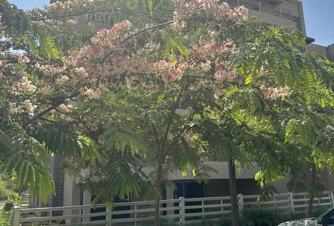 8169338 - صورة العقار 3