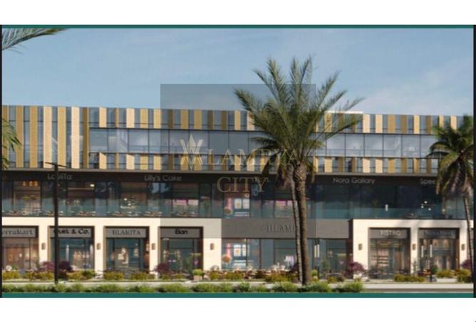 8151918 - صورة العقار 3