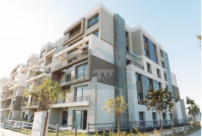 7973473 - Property Main Image