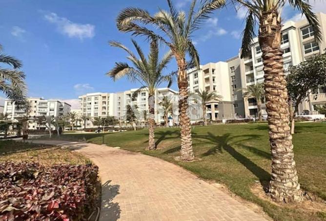 7932905 - صورة العقار 3