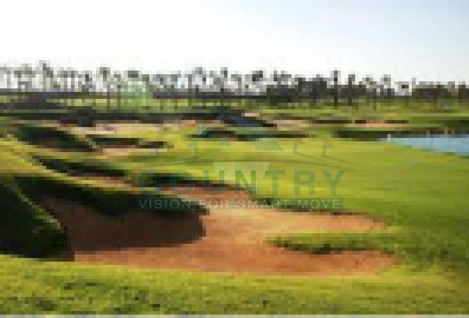 8248286 - Property Image 3