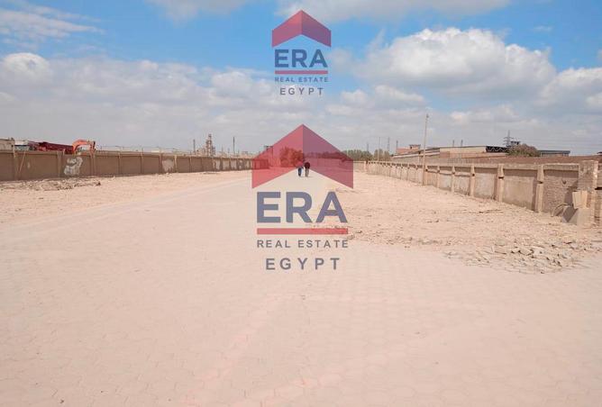 8081882 - صورة العقار 2