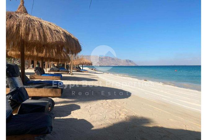 8321007 - Property Image 3