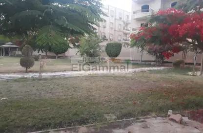 Apartment - 3 Bedrooms - 3 Bathrooms for sale in Palm Resort - The 1st Settlement - New Cairo City - Cairo