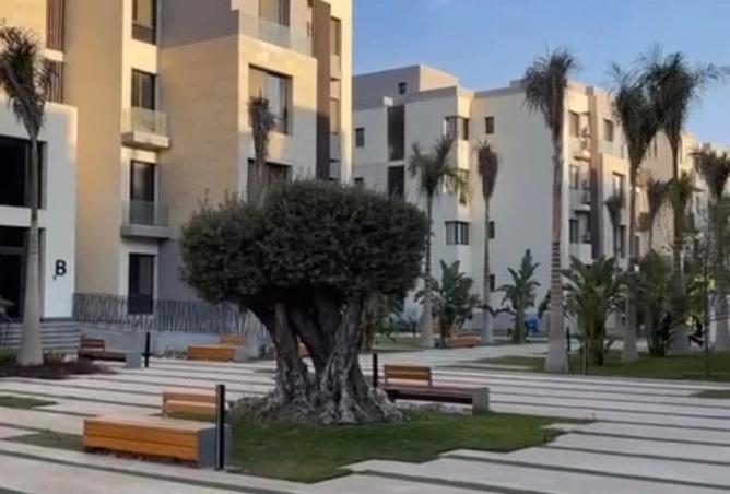 8186367 - صورة العقار 2