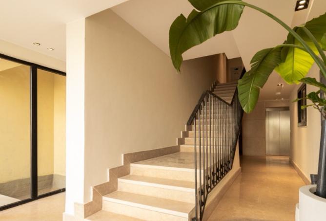 8179256 - صورة العقار 3