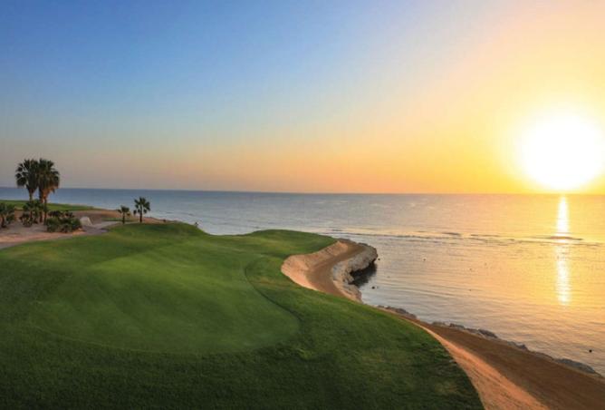 8180168 - Property Image 3