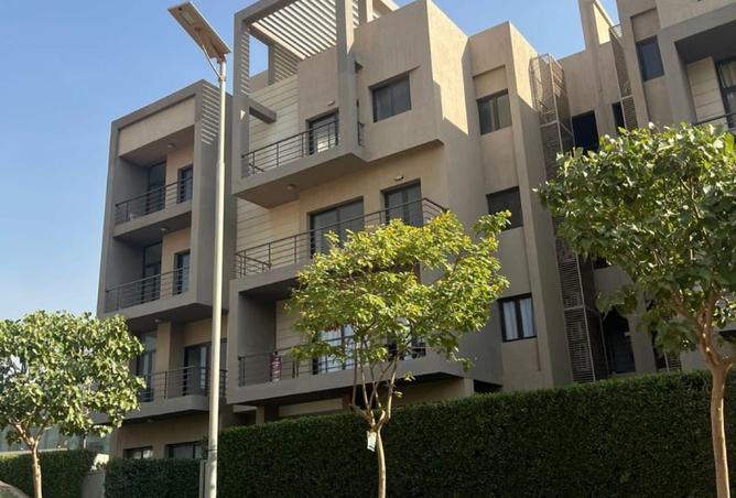 8121434 - Property Image 3