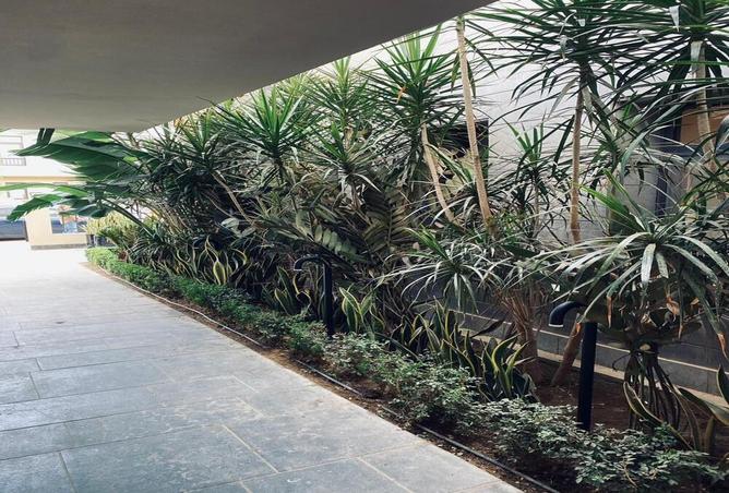 7978270 - صورة العقار 2
