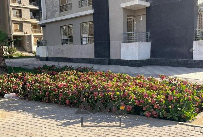 8447166 - Property Image 3