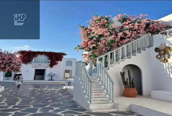 8315294 - Property Image 3