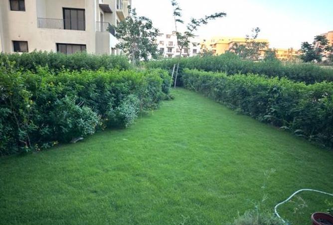 8509233 - Property Image 2