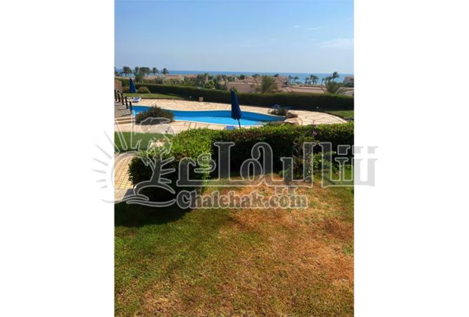 8197367 - صورة العقار 3