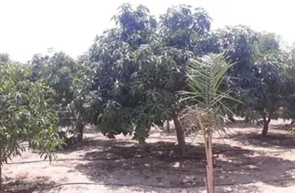 Land - Studio for sale in Gamaiet Ahmed Orabi - Obour City - Qalyubia
