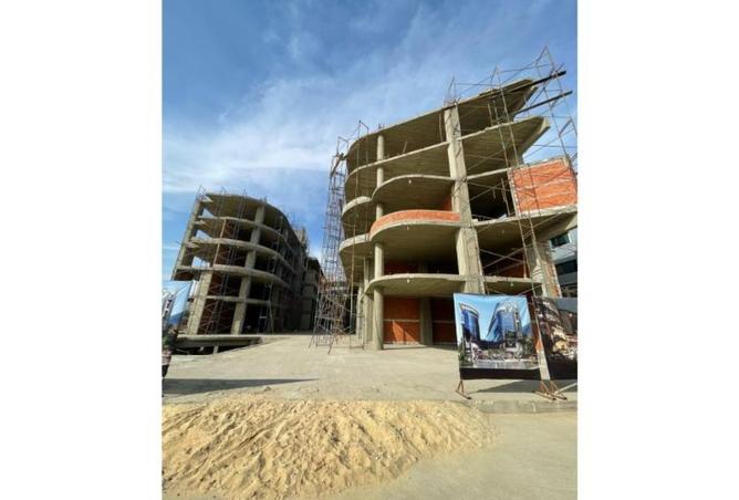 8081234 - Property Image 2