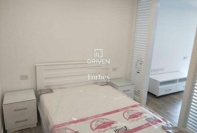 7893619 - Property Image 2