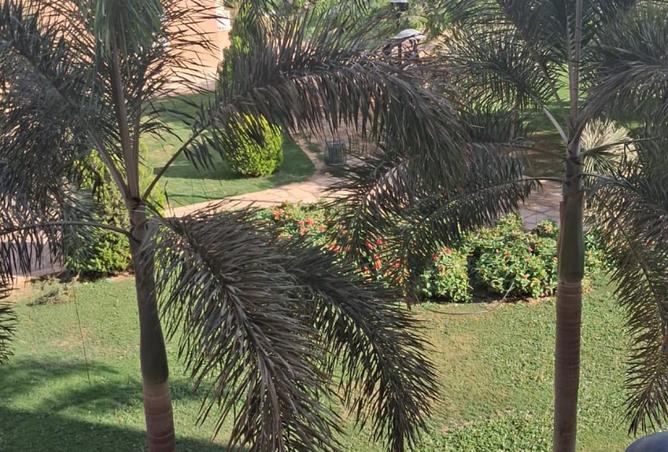 8154885 - الصورة الرئيسية للعقار