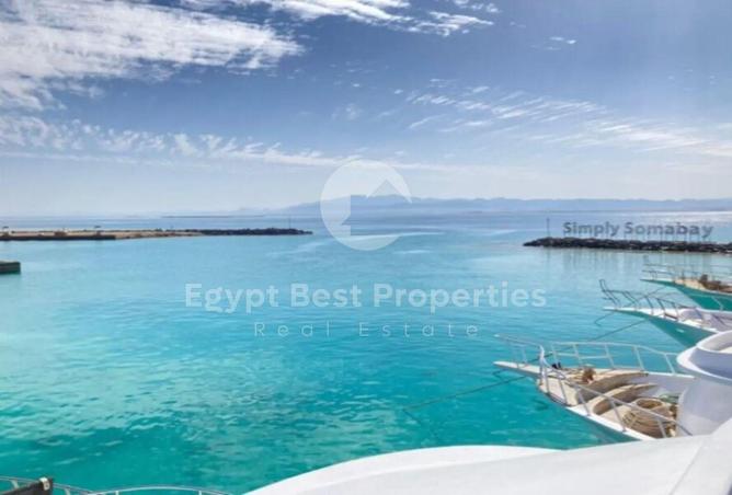 8166318 - صورة العقار 2