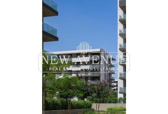 8360321 - Property Image 3